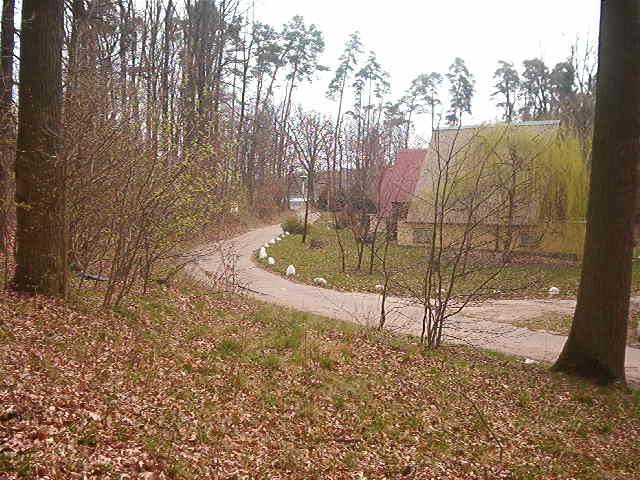 skorzecin_kwiecien_2004 069